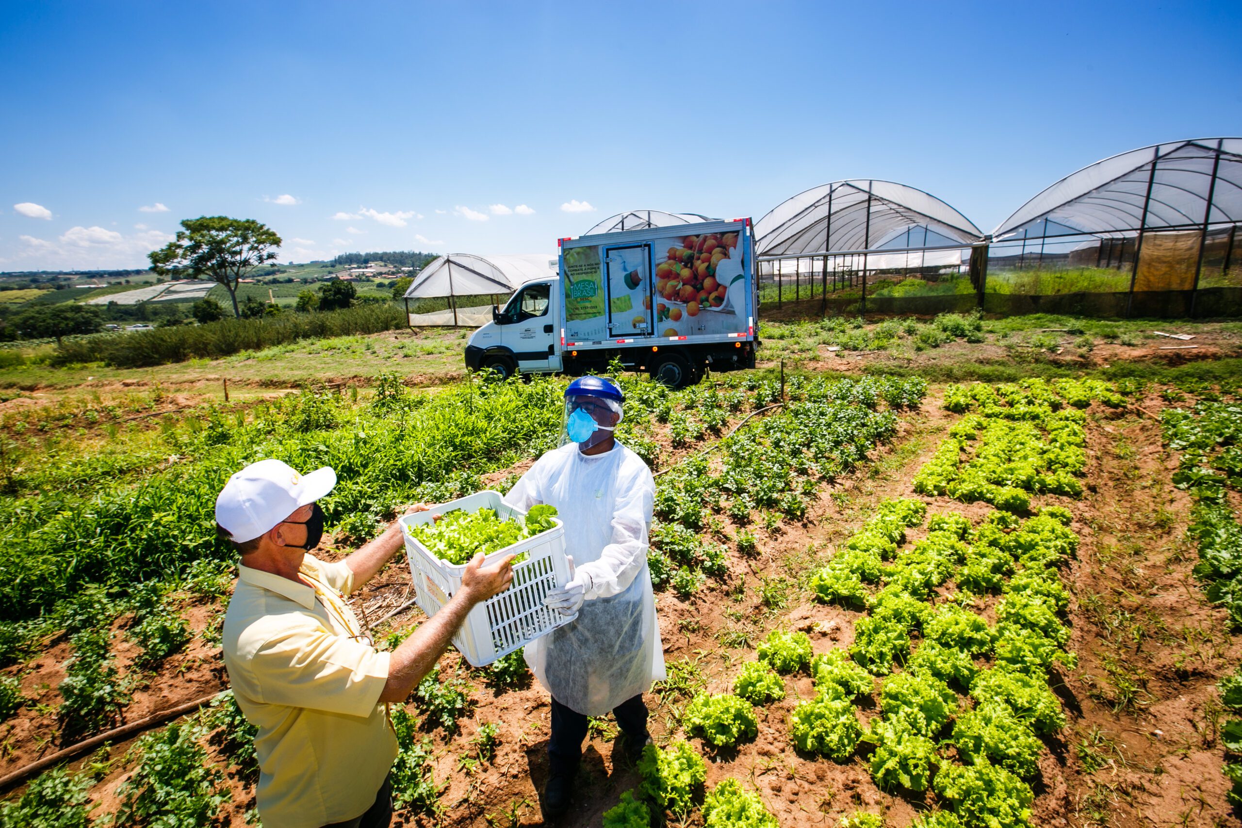 How Food Banks Advance the SDGs | The Global FoodBanking Network