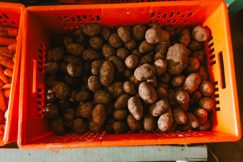 Surplus produce, like beans, potatoes, and carrots, are recovered by Food Banking Kenya from local farmers and growers around the Nairobi region. (Photo: The Global FoodBanking Network/Bobby Neptune)