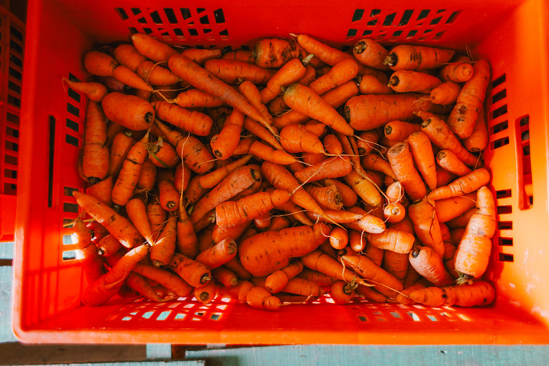 Surplus produce, like beans, potatoes, and carrots, are recovered by Food Banking Kenya from local farmers and growers around the Nairobi region. (Photo: The Global FoodBanking Network/Bobby Neptune)