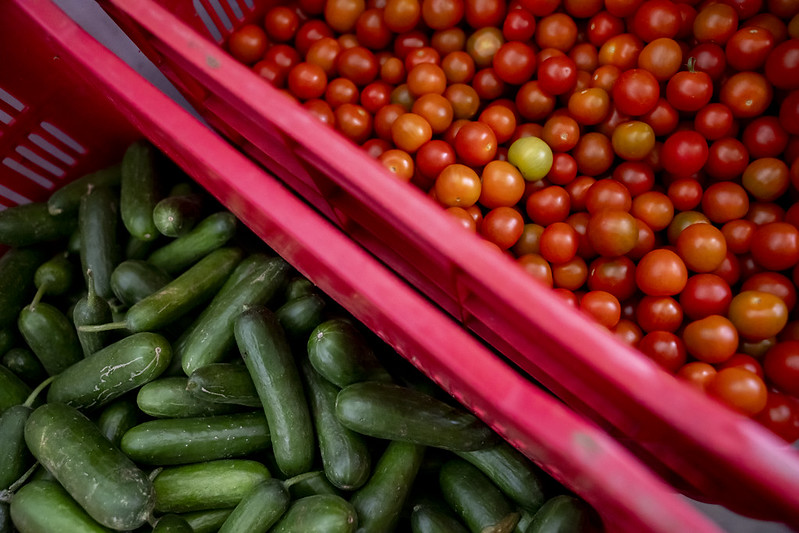 Cucumbers and tomatoes from Pilones y Flores farm are gathered in crates to donate to Banco Alimenticio Mundial, a food bank based in Tegucigalpa, Honduras. (Photo: The Global FoodBanking Network/Tomas Ayuso)