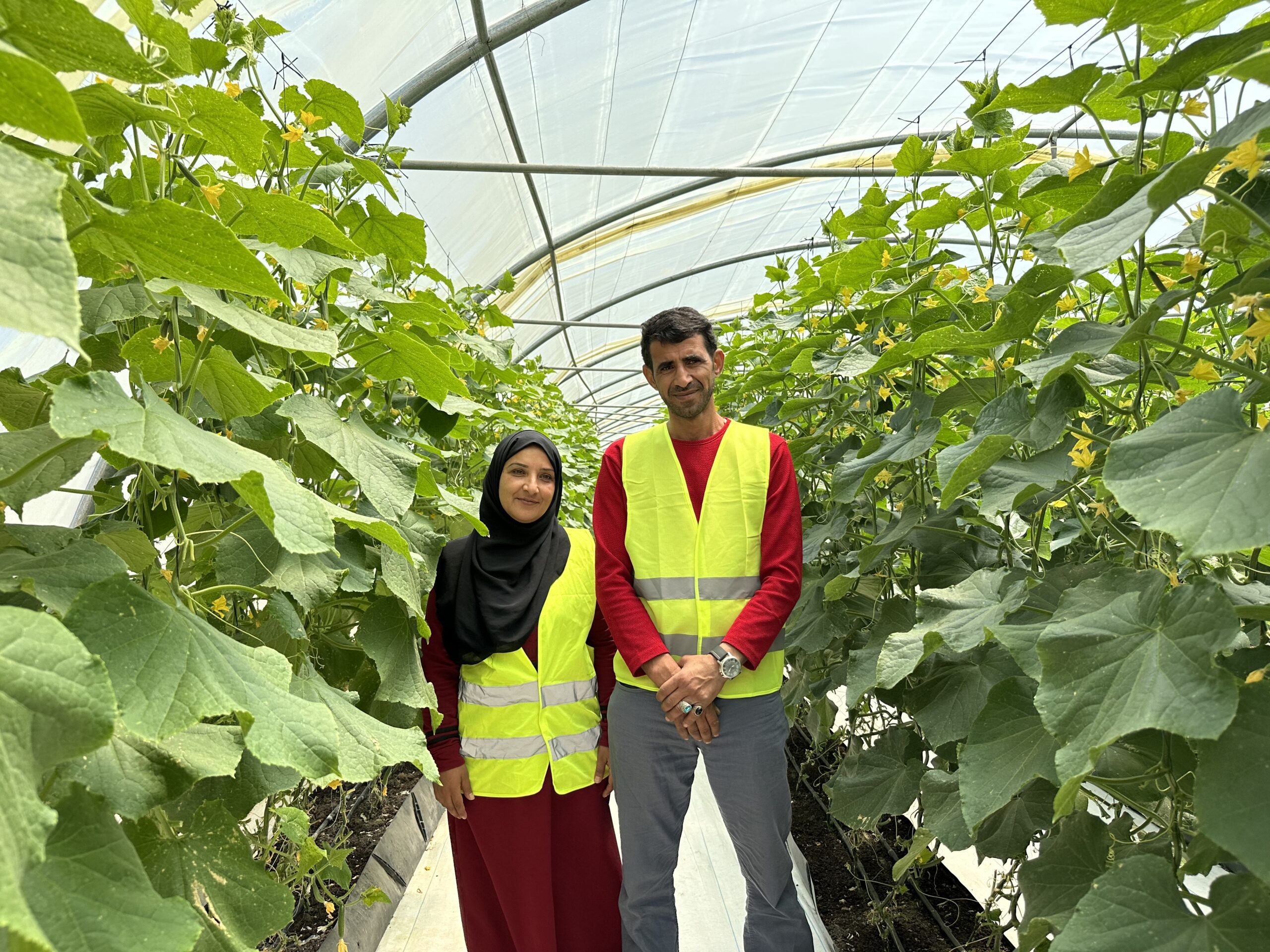 Nahed Al-Zaboun and her husband at a ADDAR hydroponic farm in Bab Amman, Jordan. Photo Credit: Tkiyet Um Ali